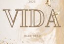 VIDA